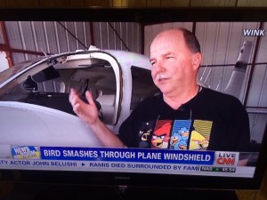 bird and windshield shirt