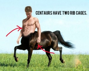 centaurs have two rib cages