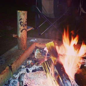 fire sad log