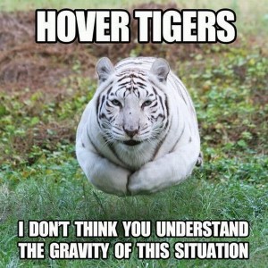 hover tigers