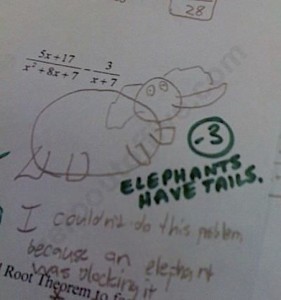 hw elephants have tails