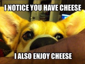 i also enjoy cheese