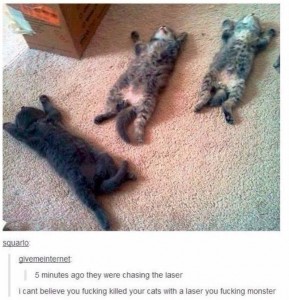 laser kitty murder