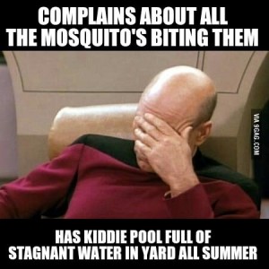 mosquito pool