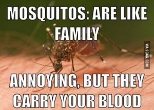 mosquitos are like family