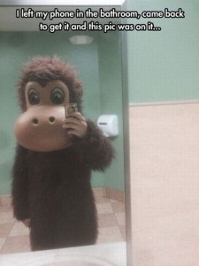 phone return monkey pic
