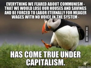 puffin communism v capitalism