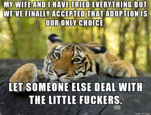 tiger adoption